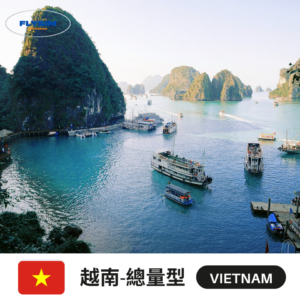 【總量型】越南eSIM高速上網