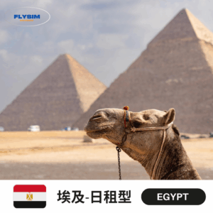 【日租型】埃及eSIM高速上網